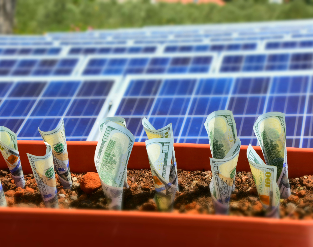 The savings accumulated from using solar panels is not just in your own pocket, but your country as well